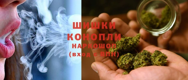 PSILOCYBIN Аркадак