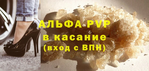 стаф Алзамай