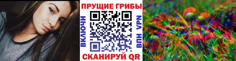 где найти   Черемхово  Галлюциногенные грибы Psilocybine cubensis 